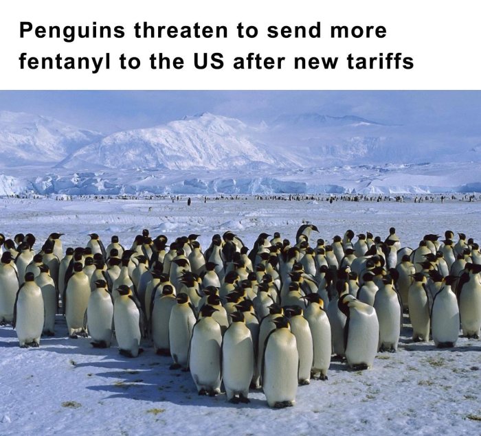1000003562.jpg