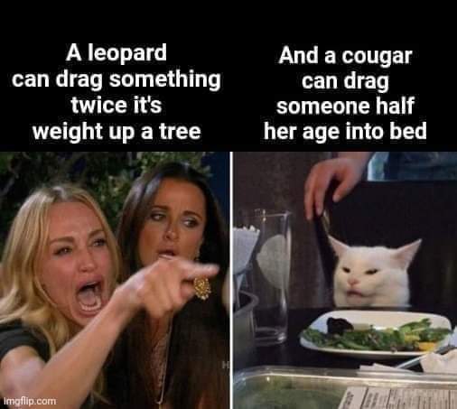 1000008237.jpg