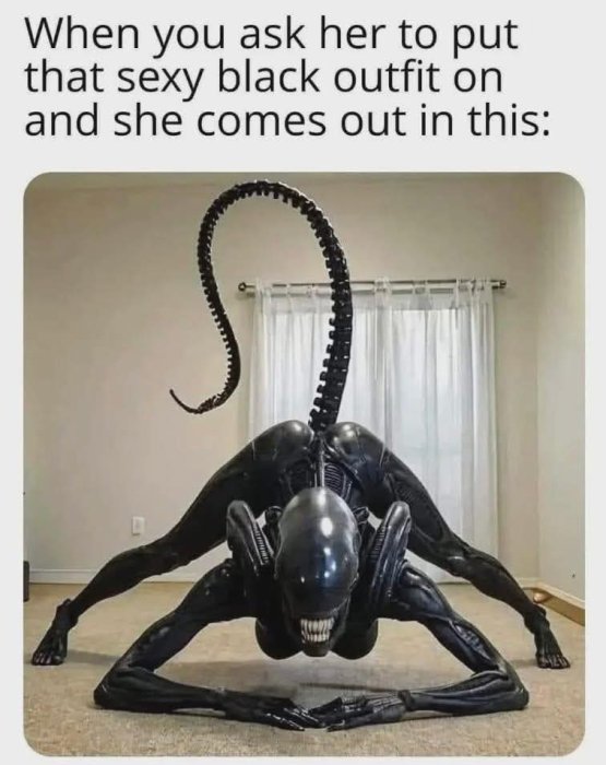 1000015214.jpg