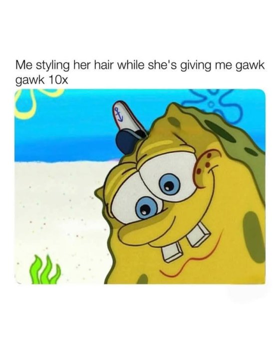 1000206321.jpg