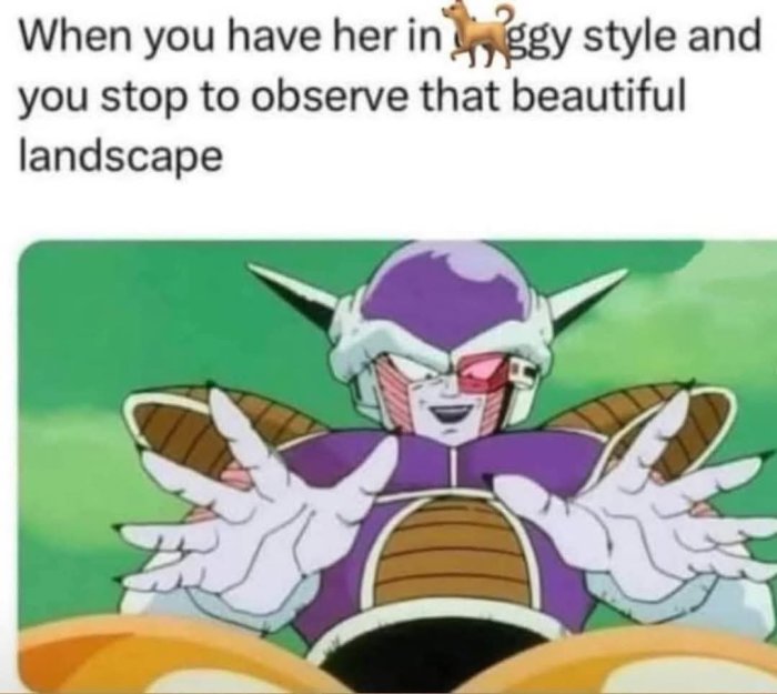 1000206337.jpg