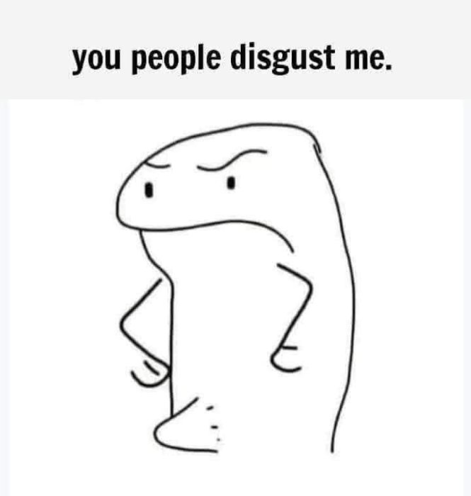 1000206348.jpg