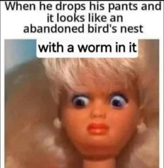 1000208731.jpg