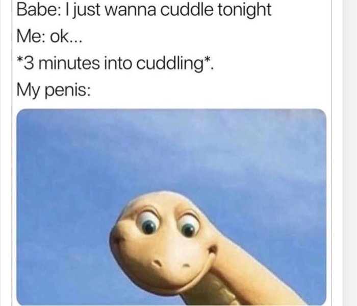1000213099.jpg