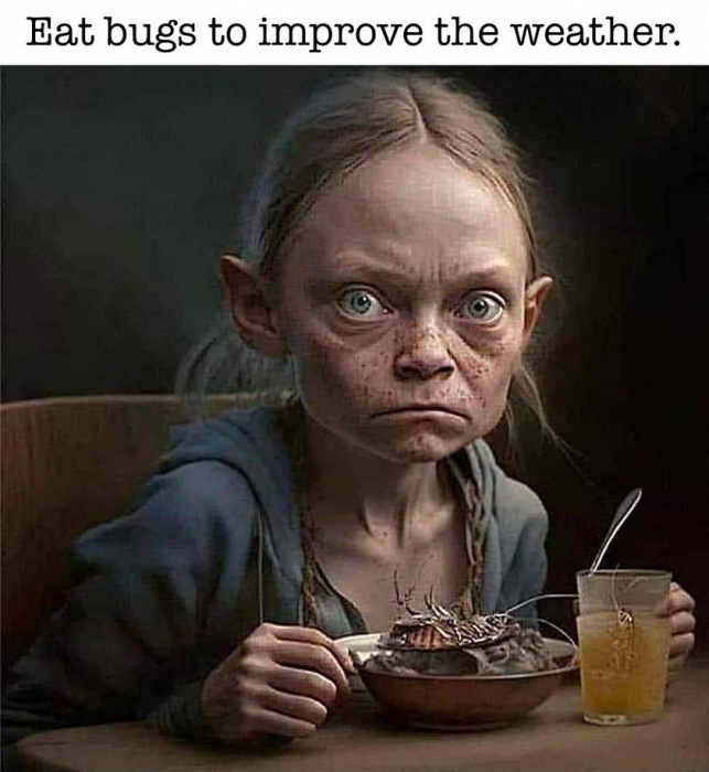 1684366042108.png