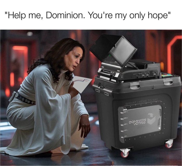 1730498744254.jpeg
