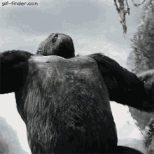1745960851363.gif