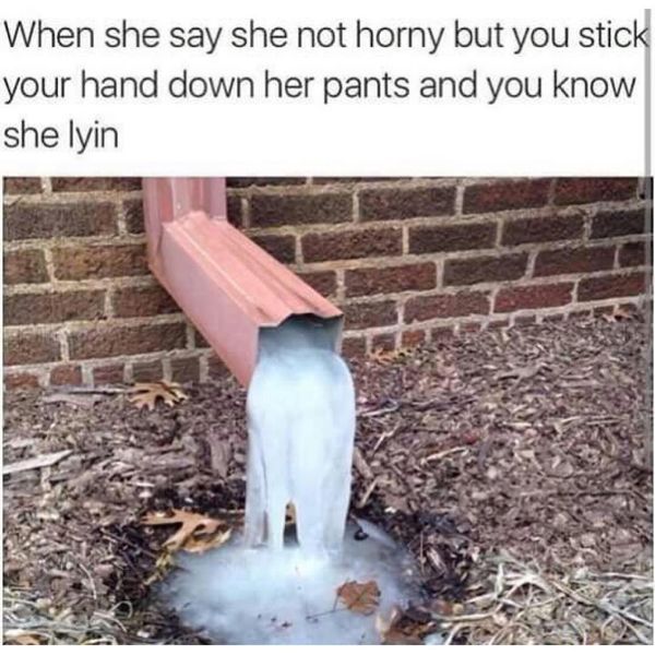 1757483755697.jpeg