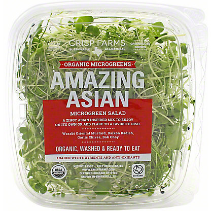 asian micro 02.jpeg