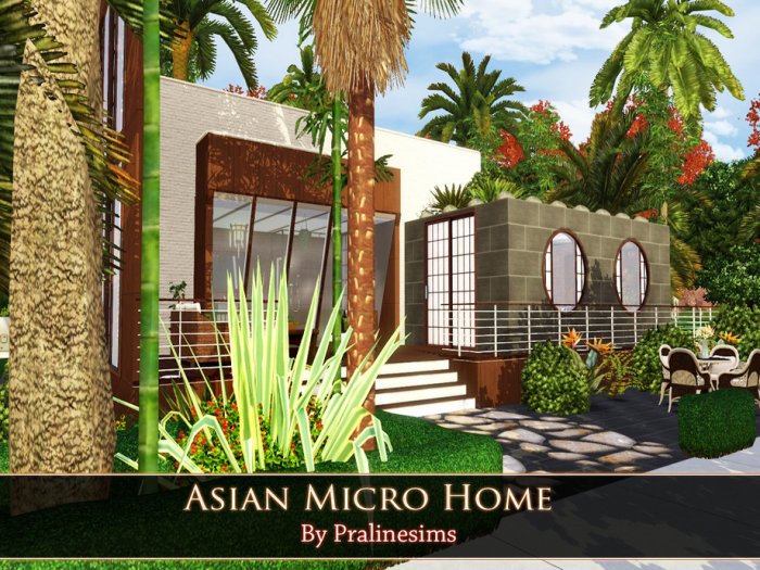 asian micro.jpeg