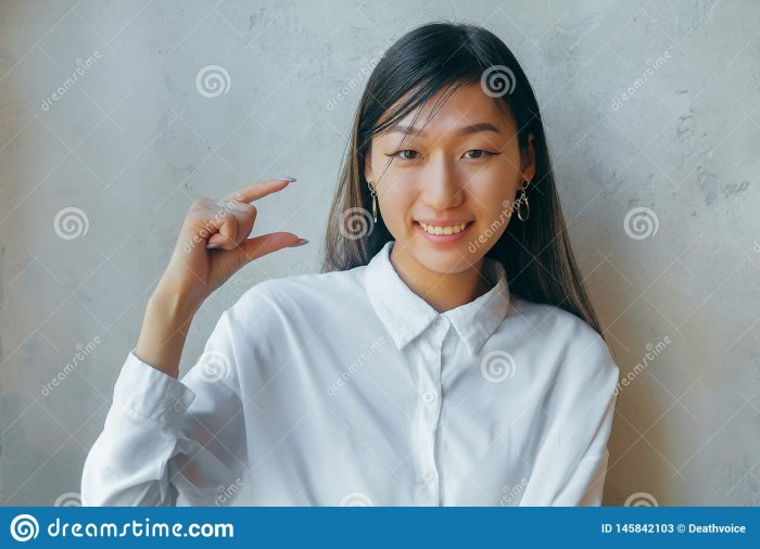 asianmicro.jpg