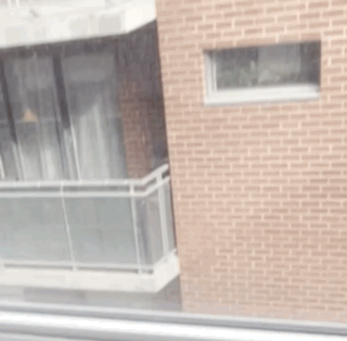 B0851901-CD5C-4C6F-86E4-3CFBF7D172F9.gif