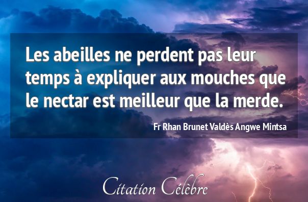 citation-fr-rhan-brunet-valdes-angwe-mintsa-226234.jpg