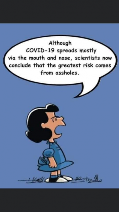 covid transmitted by assholes.png