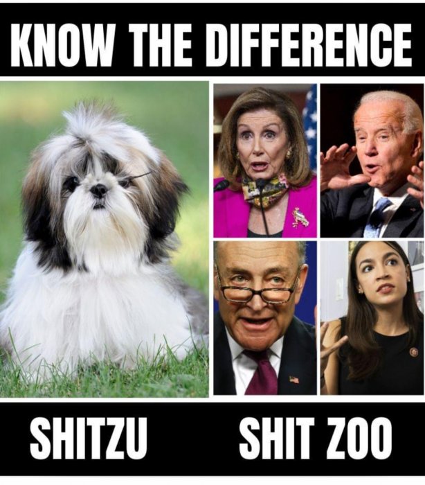 E05B5DD3-E538-4058-A074-76DCE4B7E977.jpeg