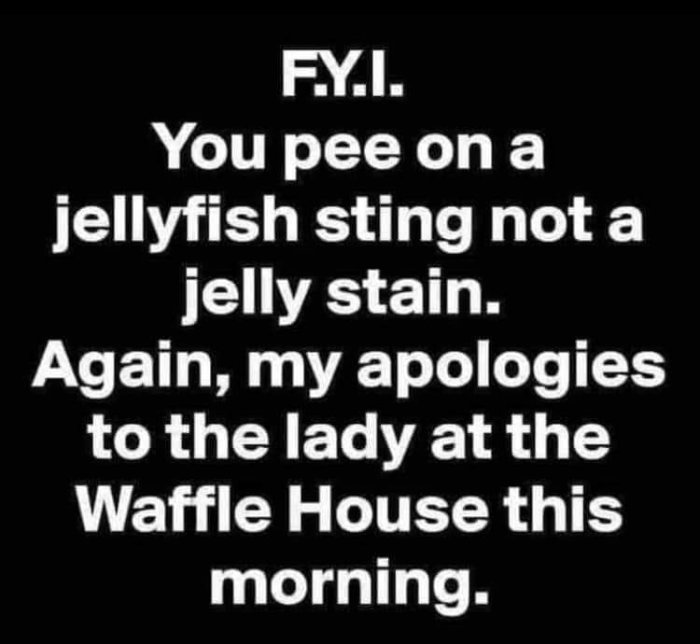 FB_IMG_1721227438876.jpg