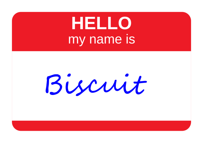 Hello_my_name_is_biscuit.png