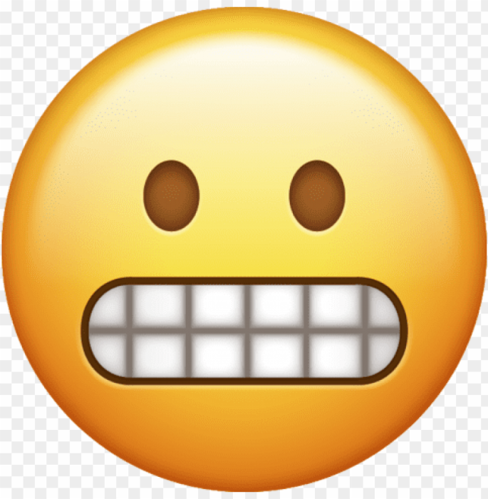 IMG_8813.png