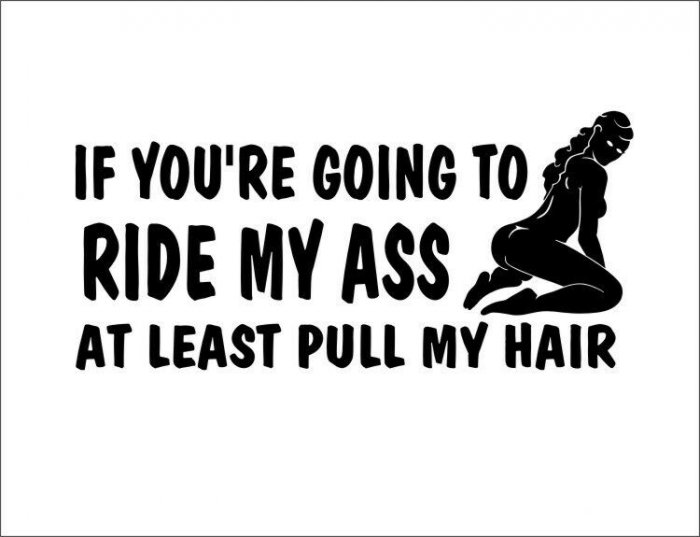 RideMyAss-PullMyHair.jpeg